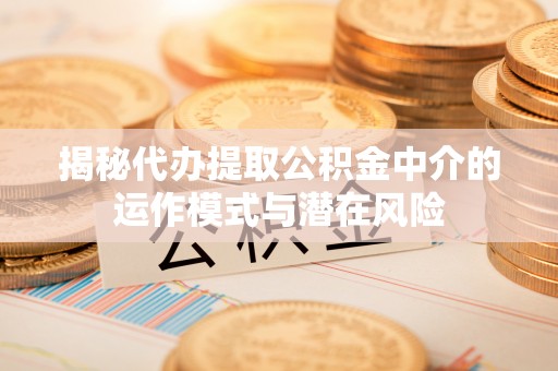 樟树揭秘代办提取公积金中介的运作模式与潜在风险
