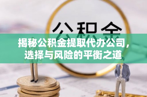 樟树揭秘公积金提取代办公司，选择与风险的平衡之道