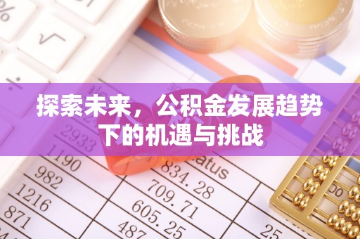 樟树探索未来，公积金发展趋势下的机遇与挑战