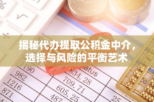 樟树揭秘代办提取公积金中介，选择与风险的平衡艺术